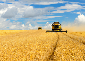 CNA diz que Plano Agrícola e Pecuário 2021/2022 atende expectativas dos produtores