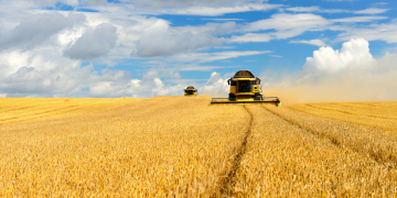 CNA diz que Plano Agrícola e Pecuário 2021/2022 atende expectativas dos produtores