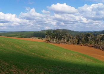 Após denúncia no 181 Policia Ambiental aplica multa de R$ 21.000  reais, em Ortigueira.