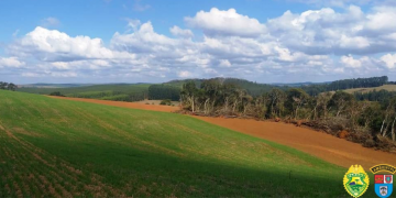 Após denúncia no 181 Policia Ambiental aplica multa de R$ 21.000  reais, em Ortigueira.