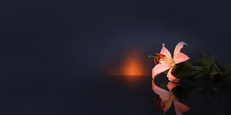 Óbitos registrados nesta quinta-feira (24) em Guarapuava pela Central de Triagem