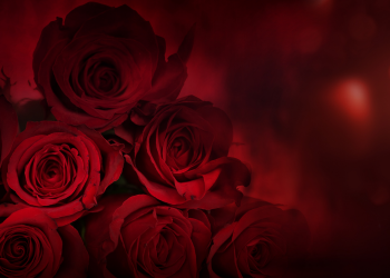 Óbitos registrados neste sábado (26) em Guarapuava pela Central de Triagem