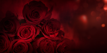 Óbitos registrados neste sábado (26) em Guarapuava pela Central de Triagem