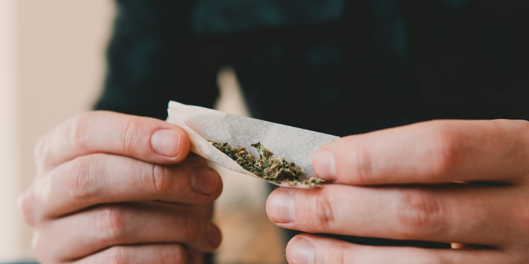 Jovem é encaminhado para 16º Batalhão por posse  de maconha para uso recreativo