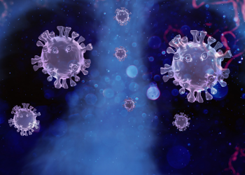 Ainda tem estabelecimento comercial que não cumpre o Decreto em vigor