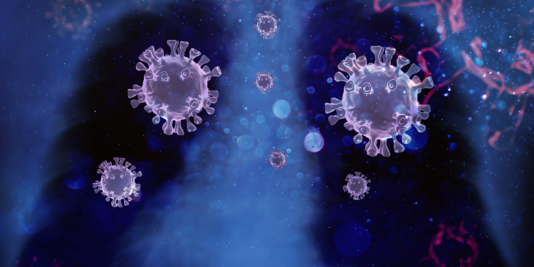 Ainda tem estabelecimento comercial que não cumpre o Decreto em vigor