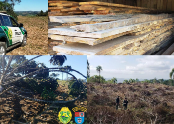 Policia Ambiental e Instituto Água e Terra – IAT realizaram a “Operação Esperança”, é aplica quase dois milhões em multas.