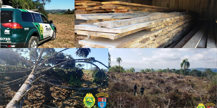 Policia Ambiental e Instituto Água e Terra – IAT realizaram a “Operação Esperança”, é aplica quase dois milhões em multas.