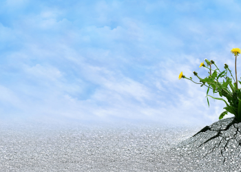 Crentes nos Lugares Errados