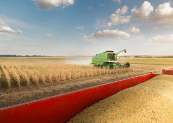 USDA confirma compras de soja da China nos EUA depois de rumores na última semana