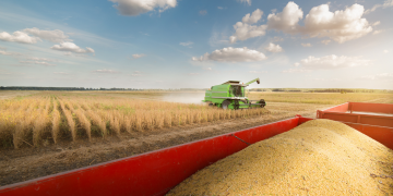 USDA confirma compras de soja da China nos EUA depois de rumores na última semana