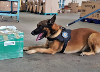Polícia Federal deflagra Operação Malinois no Acre e Rio Grande do Norte em combate à organização criminosa especializada em tráfico de drogas.