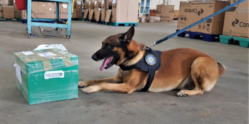 Polícia Federal deflagra Operação Malinois no Acre e Rio Grande do Norte em combate à organização criminosa especializada em tráfico de drogas.