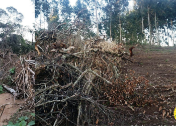 Através de monitoramento via satélite “MapBiomas”, Polícia Ambiental aplica multa de R$ 189.000,00 em proprietário no município de Palmeira