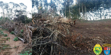 Através de monitoramento via satélite “MapBiomas”, Polícia Ambiental aplica multa de R$ 189.000,00 em proprietário no município de Palmeira