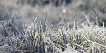 Guarapuava com -1 negativo na manhã de terça-feira (29)