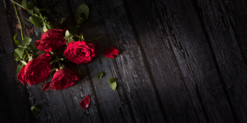 Óbitos registrados nesta terça-feira (22) em Guarapuava pela Central de Triagem