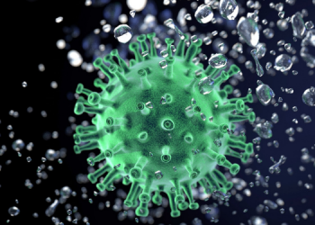 Secretaria de Estado da Saúde divulga 5.123 novos casos e 211 óbitos pela Covid-19 (9)