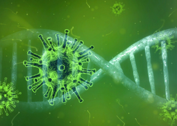 Guarapuava registra mais cinco óbitos por Covid registrado em novo Boletim (11)