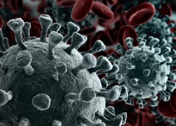 Informe da Secretaria da Saúde confirma mais 1.117 casos e 44 óbitos pela Covid-19