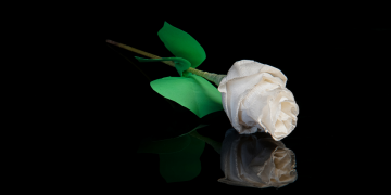 Óbitos registrados neste sábado (03) em Guarapuava pela Central de Triagem