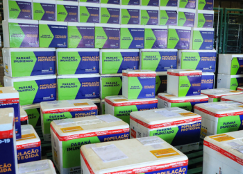 312,7 mil vacinas contra Covid-19 chegam ao Paraná entre terça e quarta