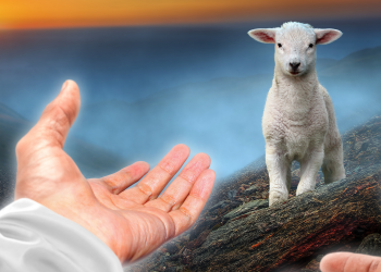 Carreira Profissional X Chamado