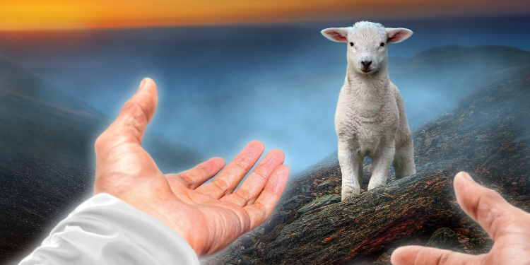 Carreira Profissional X Chamado