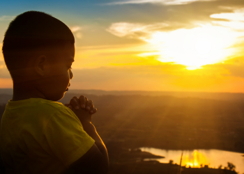 EXELENTE NOTÍCIA!!!!!! NÃO HOUVE ÓBITOS (10)