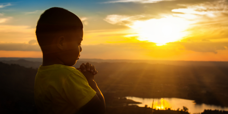 EXELENTE NOTÍCIA!!!!!! NÃO HOUVE ÓBITOS (10)