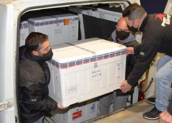 Ministério da Saúde confirma o envio de mais 453,7 mil doses de vacinas contra a Covid-19 ao Paraná