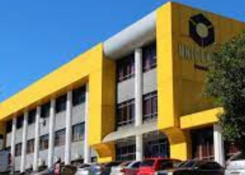 Live da Unicentro discute políticas públicas no Dia Estadual de Combate ao Feminicídio