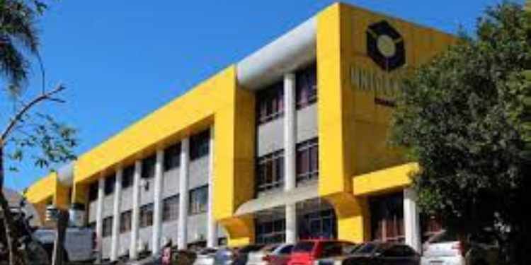 Live da Unicentro discute políticas públicas no Dia Estadual de Combate ao Feminicídio