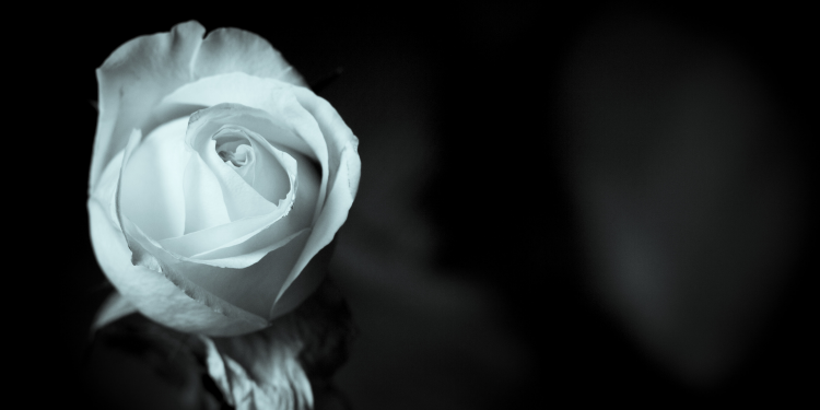 Óbitos registrados nesta quarta-feira (07) em Guarapuava pela Central de Triagem