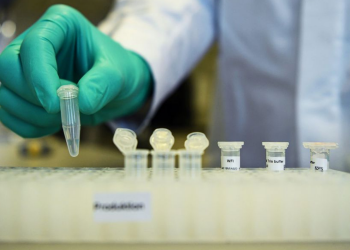 Covid-19: Anvisa libera testes clínicos para duas novas vacinas