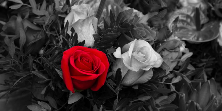 Óbitos registrados nesta quarta – feira (14) em Guarapuava pela Central de Triagem