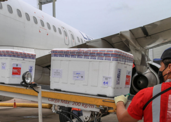 Lote com 235,5 mil vacinas contra a Covid-19 chega ao Paraná nesta quinta-feira