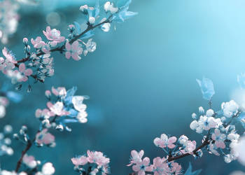 Óbitos registrados nesta quinta-feira (01) em Guarapuava pela Central de Triagem