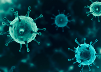 Paraná já registrou circulação de 24 variantes do coronavírus desde o começo da pandemia