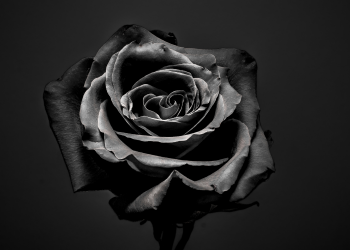 Óbitos registrados nesta quarta-feira (08) em Guarapuava pela Central de Triagem