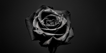 Óbitos registrados nesta quarta-feira (08) em Guarapuava pela Central de Triagem