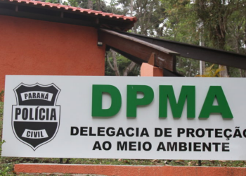 Gaeco cumpre mandados de busca e apreensão na Delegacia do Meio Ambiente de Curitiba e em postos de combustível