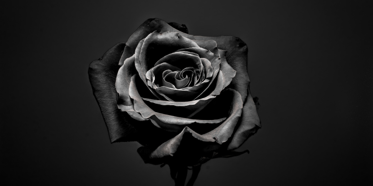 Óbitos registrados nesta quinta-feira (15) em Guarapuava pela Central de Triagem