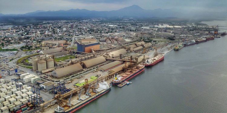 Saúde e o Porto de Paranaguá intensificam ações no combate à dengue