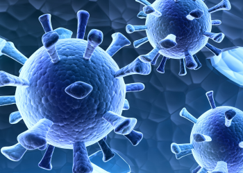 Saúde confirma 2.310 novos casos e 241 óbitos pela Covid-19