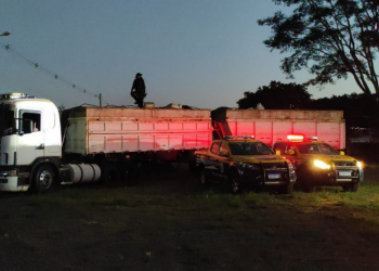 Ministério registra a maior apreensão de drogas da história do país