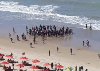 Banhista quase tem a perna arrancada por tubarão em Recife