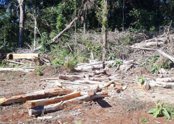 Força-tarefa aplica multas que somam R$ 1 milhão a desmatadores no Centro-Sul