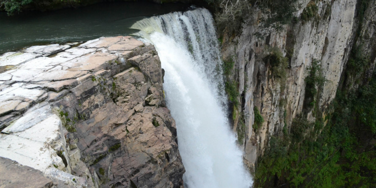 Parque São João recebe plano de manejo para garantir preservação e turismo sustentável