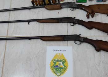 Homem é preso por posse ilegal de arma de fogo, em Pitanga